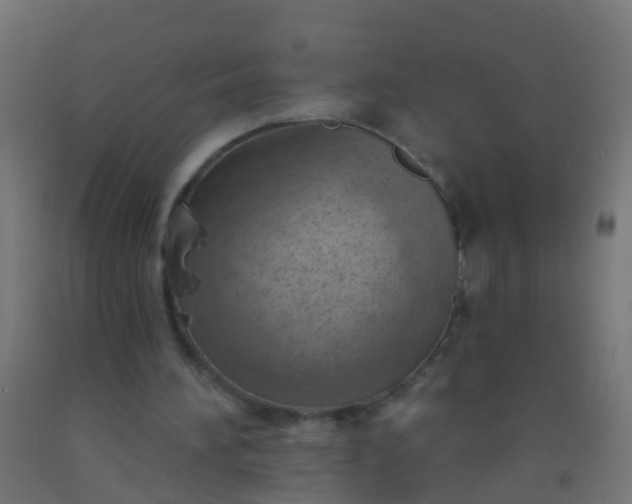 X0000092300196200709281333