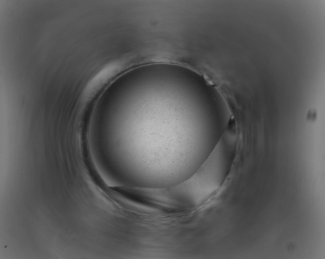 X0000092300197200709281333