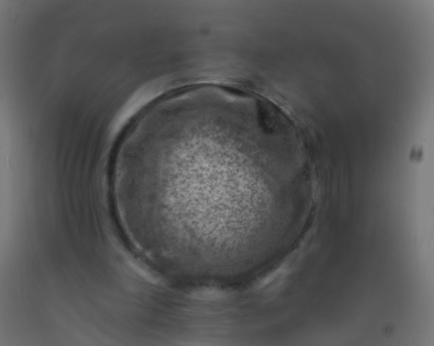 X0000092300198200709281333