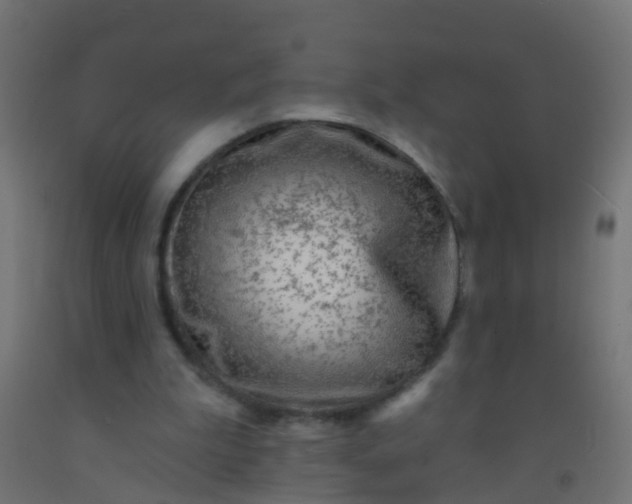 X0000092300199200709281333