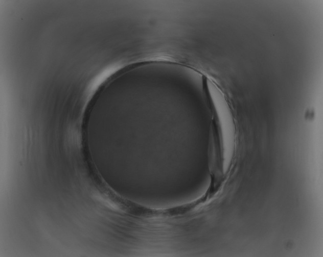 X0000092300200200709281333