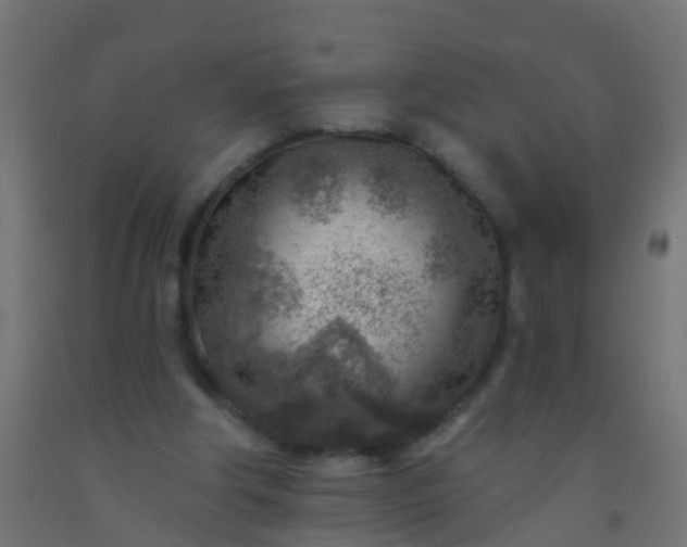 X0000092300202200709281333