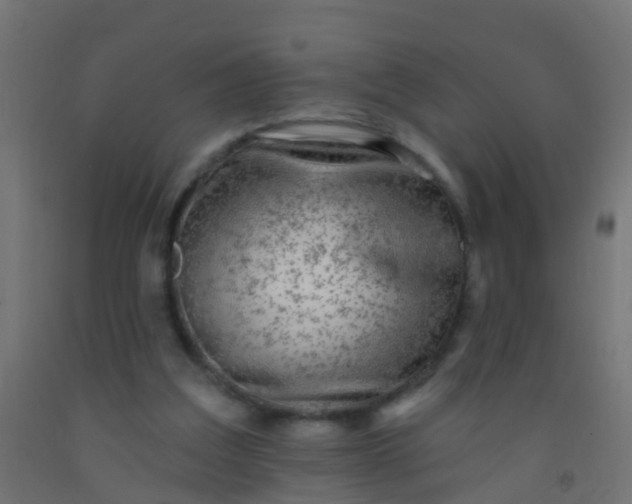 X0000092300203200709281333