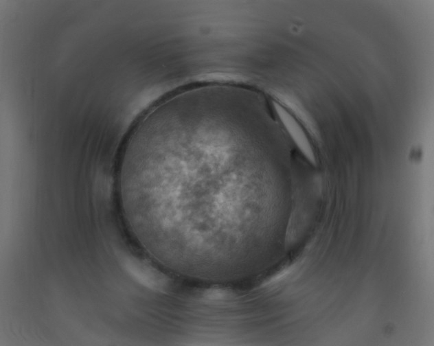 X0000092300204200709281333