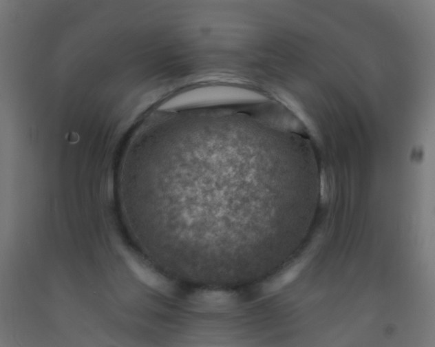 X0000092300205200709281333