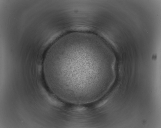 X0000092300206200709281333