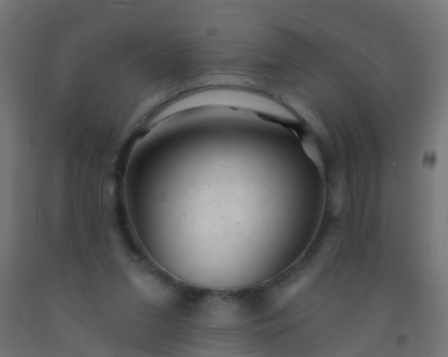 X0000092300207200709281333