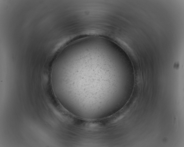 X0000092300208200709281333