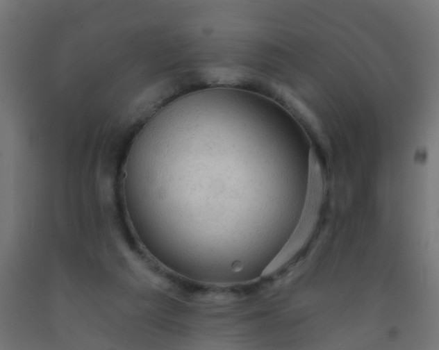 X0000092300209200709281333