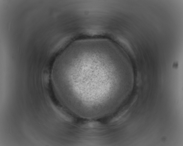 X0000092300210200709281333