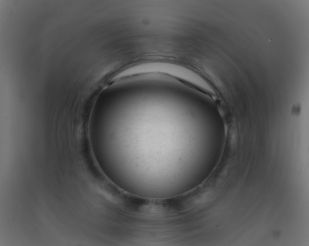 X0000092300211200709281333