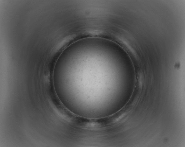 X0000092300212200709281333