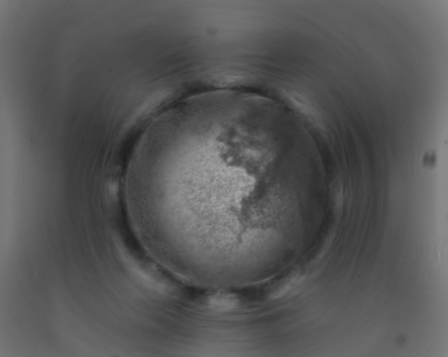 X0000092300214200709281333