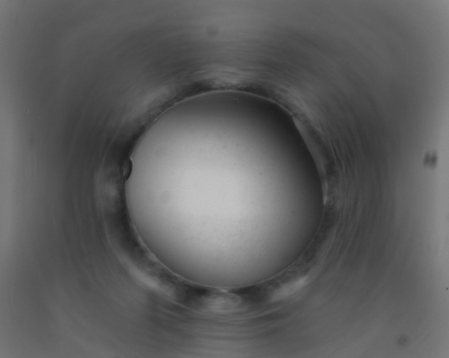 X0000092300215200709281333