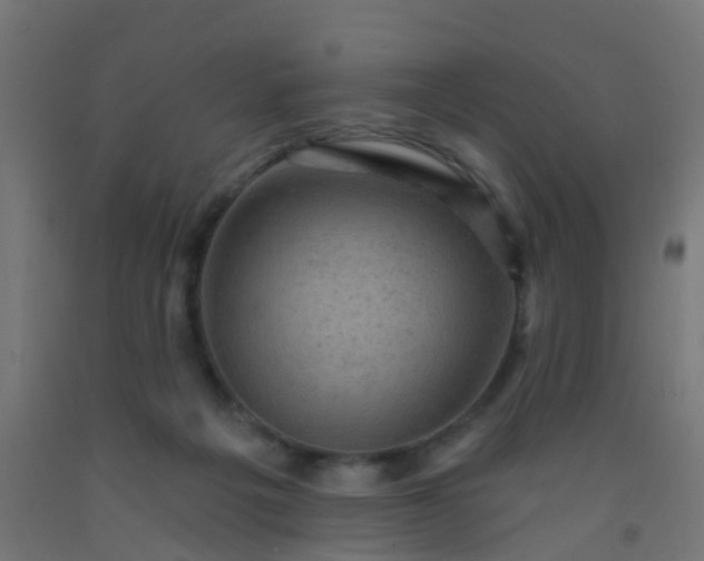 X0000092300217200709281333