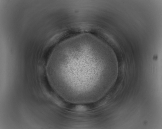 X0000092300218200709281333