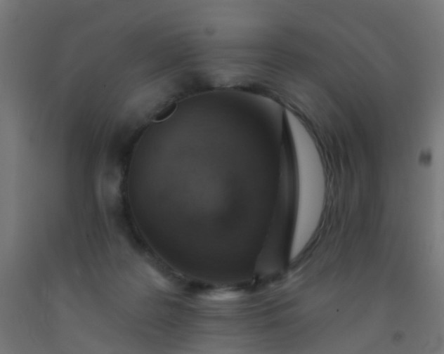 X0000092300219200709281333