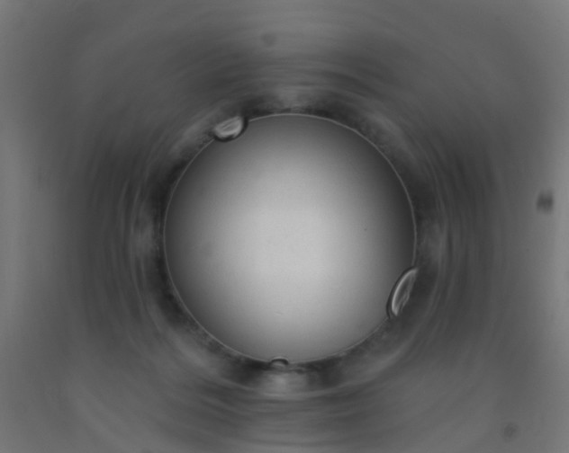 X0000092300220200709281333