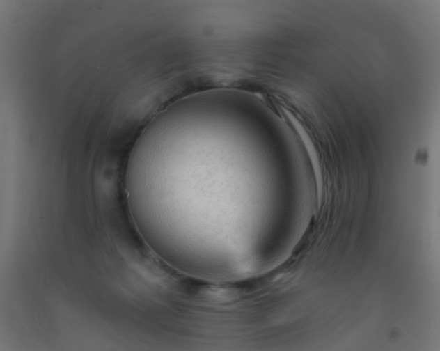 X0000092300221200709281333