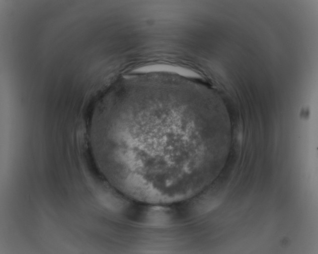 X0000092300222200709281333