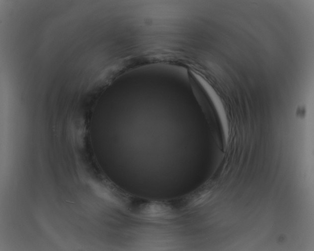 X0000092300223200709281333