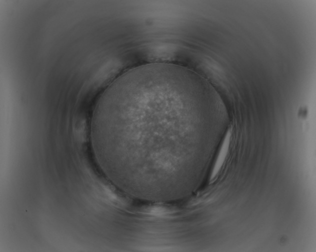 X0000092300224200709281333