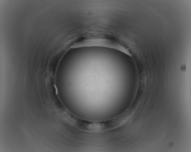 X0000092300225200709281333