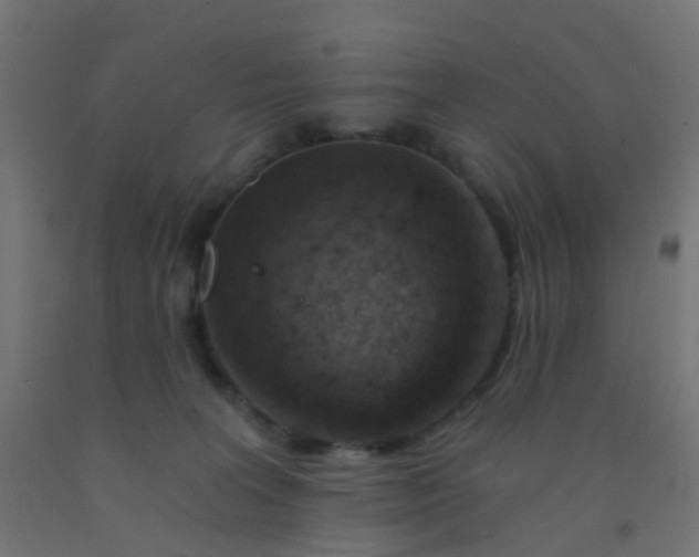 X0000092300227200709281333