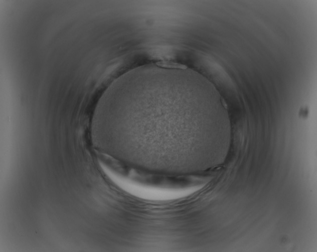 X0000092300229200709281333