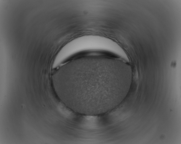 X0000092300233200709281332