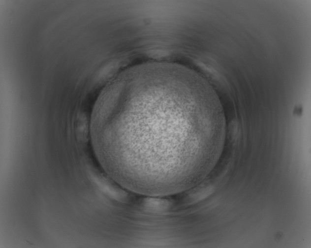 X0000092300234200709281332