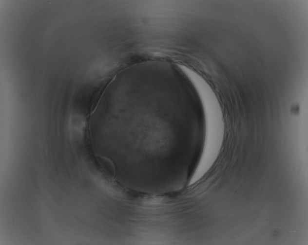 X0000092300235200709281332