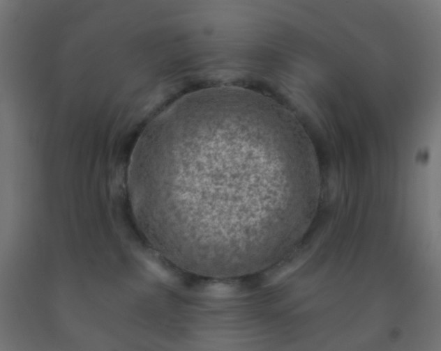 X0000092300236200709281332