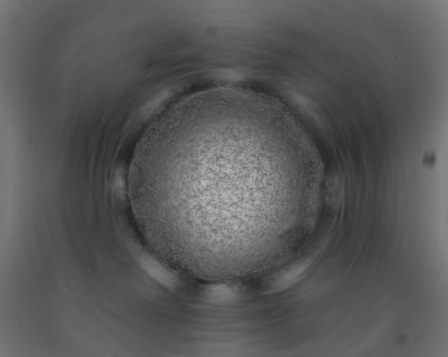 X0000092300238200709281332