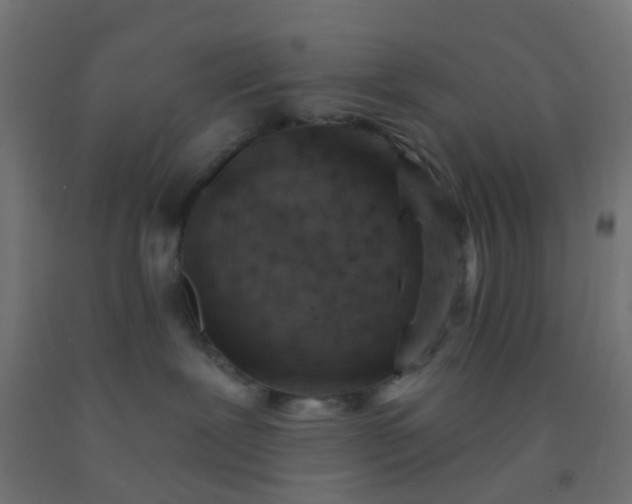 X0000092300239200709281332