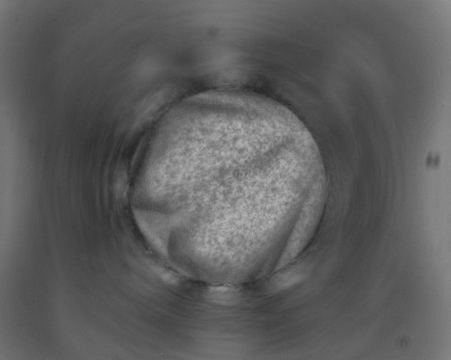 X0000092300240200709281332