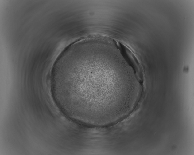 X0000092300241200709281332