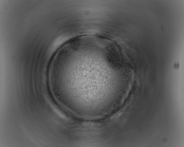 X0000092300242200709281332