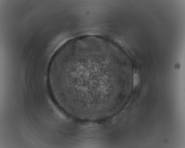 X0000092300243200709281332