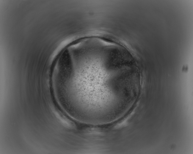 X0000092300244200709281332