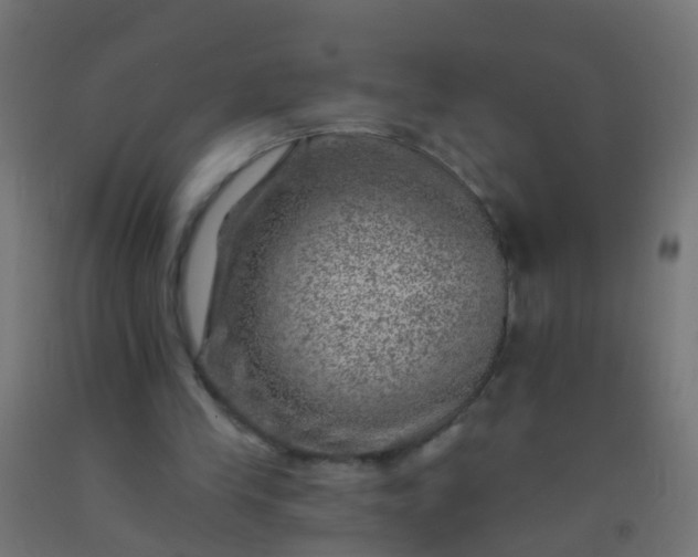 X0000092300245200709281332