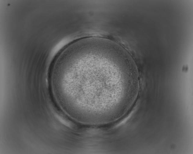 X0000092300246200709281332