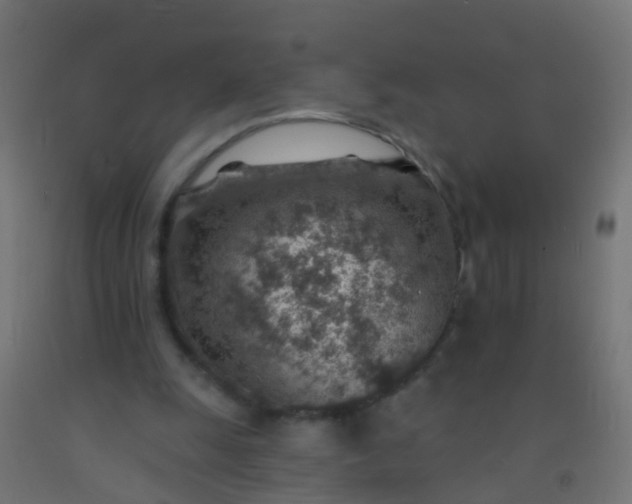 X0000092300247200709281332