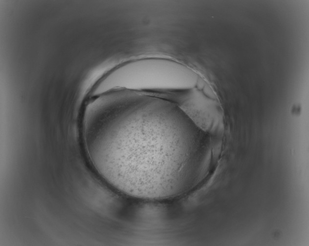 X0000092300248200709281332