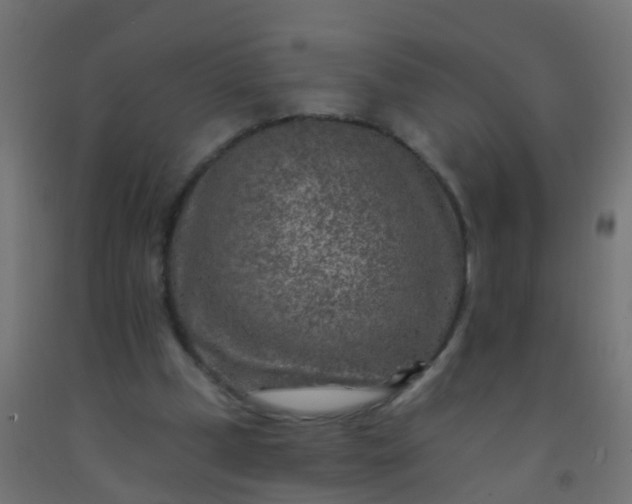 X0000092300249200709281332