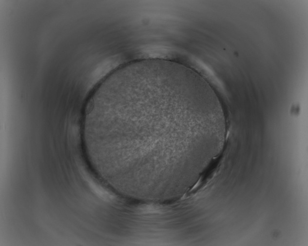 X0000092300250200709281332