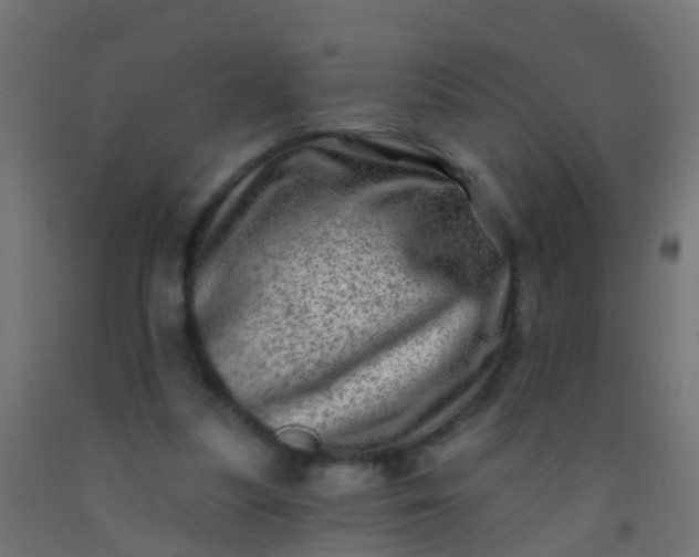 X0000092300251200709281332