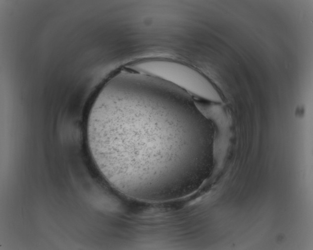 X0000092300252200709281332