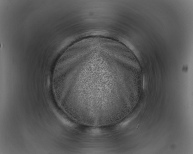 X0000092300253200709281332