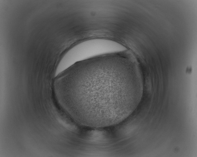 X0000092300255200709281332